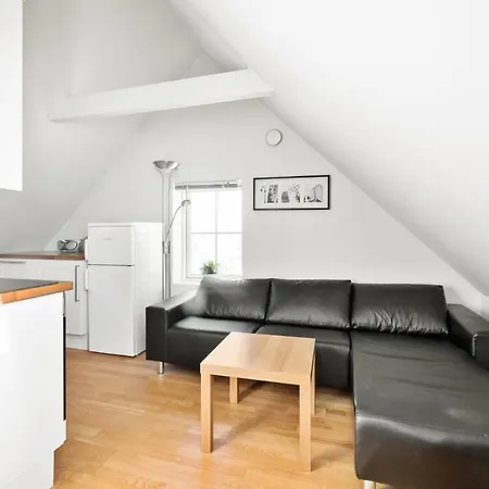 Norwegian Housing, Small Studio 18-32m2 *